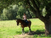 Explore and book this <a href="http://www.adventureride.eu/en/select-route/">horseback riding vacation</a>