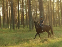 Explore and book this <a href="http://www.adventureride.eu/en/specials">horseback riding vacation</a>
