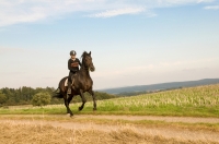 Explore and book this <a href="http://www.adventureride.eu/en/select-dates/latgale_beauty_across_belarus_border/">horseback riding vacation</a> in Latgale