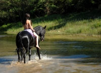 Explore and book this <a href="http://www.adventureride.eu/en/select-dates/through_the_rivers_of_gauja_national_park/">horseback riding vacation</a in Gauja national park