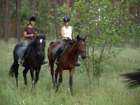 Explore and book this <a href="http://www.adventureride.eu/en/select-dates/through_forests_and_beaches_of_adazi/">horseback riding vacation</a> in Adazi