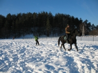 Explore and book your <a href="http://www.adventureride.eu/en/specials/">horseback riding vacations</a>