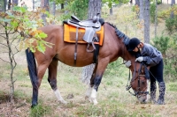 Explore and book your <a href="http://www.adventureride.eu/en/select-route">horseback riding vacation</a>