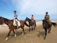Enjoy whitesand beach on <a href="http://www.adventureride.eu/en/select-dates/empty_beaches_of_slitere_national_park/">horseback riding vacation</a> in Slitere national park