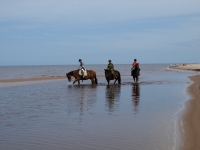 <a href="http://www.adventureride.eu/en/select-dates/through_forests_and_beaches_of_adazi/">Horseback riding vacation</a> in the empty beaches of Baltic sea