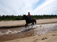 Gallop on a horseback on <a href="http://www.adventureride.eu/en/select-dates/empty_beaches_of_slitere_national_park/">horseback riding vacation</a> in Slitere national park