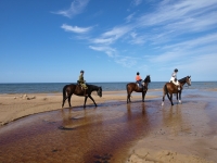 <a href="http://www.adventureride.eu/en/select-dates/empty_beaches_of_slitere_national_park/">Horseback riding vacations</a> in the beaches of Slitere National park.