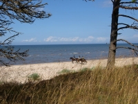 <a href="http://www.adventureride.eu/en/select-dates/through_forests_and_beaches_of_adazi/">Horseback riding vacation</a> on the beach near Lilaste Nature park.