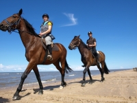 Explore and book this <a href="http://www.adventureride.eu/en/select-dates/empty_beaches_of_slitere_national_park/">horseback riding vacation</a>