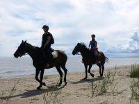 Take a part of Adventure and explore the beaches on <a href="http://www.adventureride.eu/en/select-dates/empty_beaches_of_slitere_national_park/">horseback riding vacation</a>