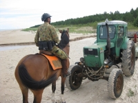 A surprise on the beach on <a href="http://www.adventureride.eu/en/select-dates/empty_beaches_of_slitere_national_park/">horseback riding vacation</a> in Slitere national park