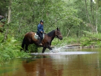 Adventurous play in the wildness on <a href="http://www.adventureride.eu/en/select-dates/through_the_rivers_of_gauja_national_park/">horseback riding vacation</a> in Gauja national park