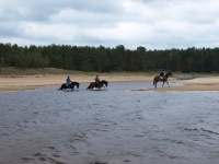 Crossing the rivers on beach on <a href="http://www.adventureride.eu/en/select-dates/through_forests_and_beaches_of_adazi/">horseback riding vacation</a> in Lilaste nature park