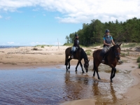 Explore and book this <a href="http://www.adventureride.eu/en/select-dates/empty_beaches_of_slitere_national_park/">horseback riding vacation</a> in Slitere National park