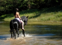 Excited about the warm and sunny day in the river on <a href="http://www.adventureride.eu/en/select-dates/through_the_rivers_of_gauja_national_park/">horseback riding vacation</a> in Gauja national park