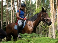 Be the part of Adventure and book this <a href="http://www.adventureride.eu/en/select-dates/empty_beaches_of_slitere_national_park/">horseback riding vacation</a> in Slitere national park