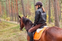 Explore and book this <a href="http://www.adventureride.eu/en/select-dates/through_forests_and_beaches_of_adazi/">horseback riding vacation</a> in Adazi