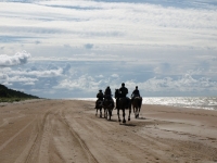 Explore and book this <a href="http://www.adventureride.eu/en/select-dates/empty_beaches_of_slitere_national_park/">horseback riding vacation</a> in Slitere national park