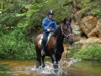 Like this beautiful trail? Book this <a href="http://www.adventureride.eu/en/select-dates/through_the_rivers_of_gauja_national_park/">horseback riding vacation</a>  in Gauja national park
