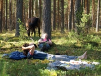 Explore and book this <a href="http://www.adventureride.eu/en/select-dates/through_forests_and_beaches_of_adazi/">horseback riding vacation</a> in Lilaste nature park