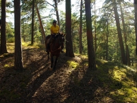 Explore and book <a href="http://www.adventureride.eu/en/select-dates/through_forests_and_beaches_of_adazi/">horseback riding vacations</a> in Lilaste nature park